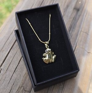 Cottagecore Gold Frog Pendant Necklace With Black Cz Eyes
